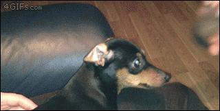 有一些人为什么会产生口臭怎么解,中医说有口臭怎么解决