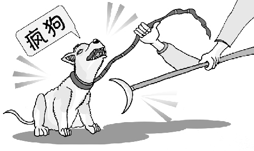 宠物被异物卡住脖子怎么办,宠物吃东西卡在喉咙里怎么办