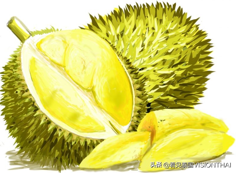 认识50种水果蔬菜,认识热带水果菠萝