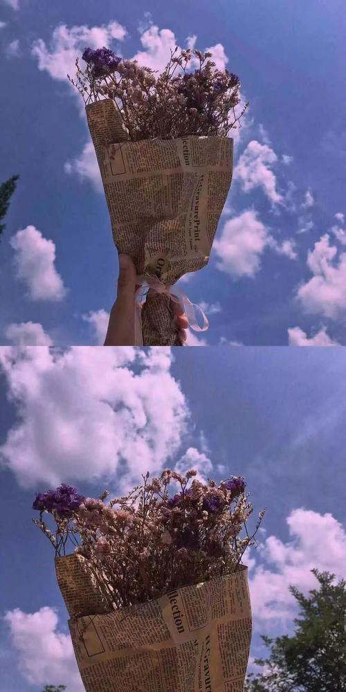 关于天生我材必有用的优秀作文,关于天生我材必有用的高中作文