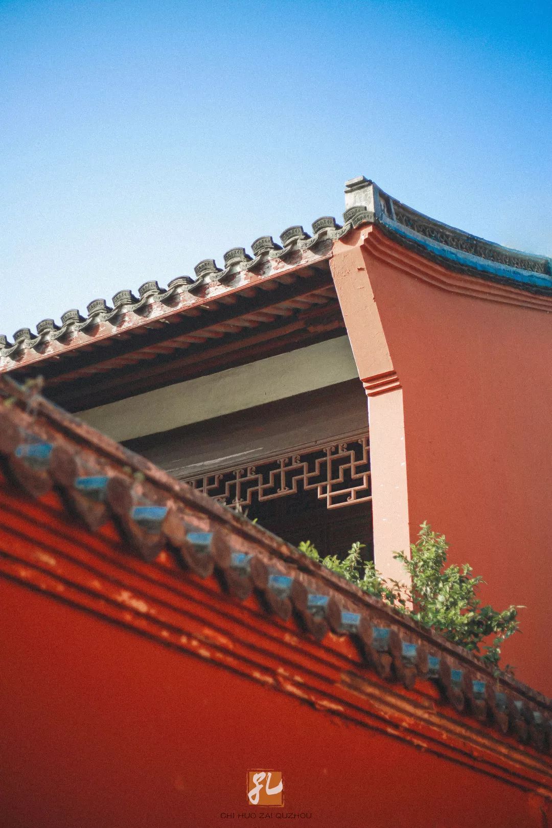 衢州为啥没有衢州鸭头,衢州鸭头不一样