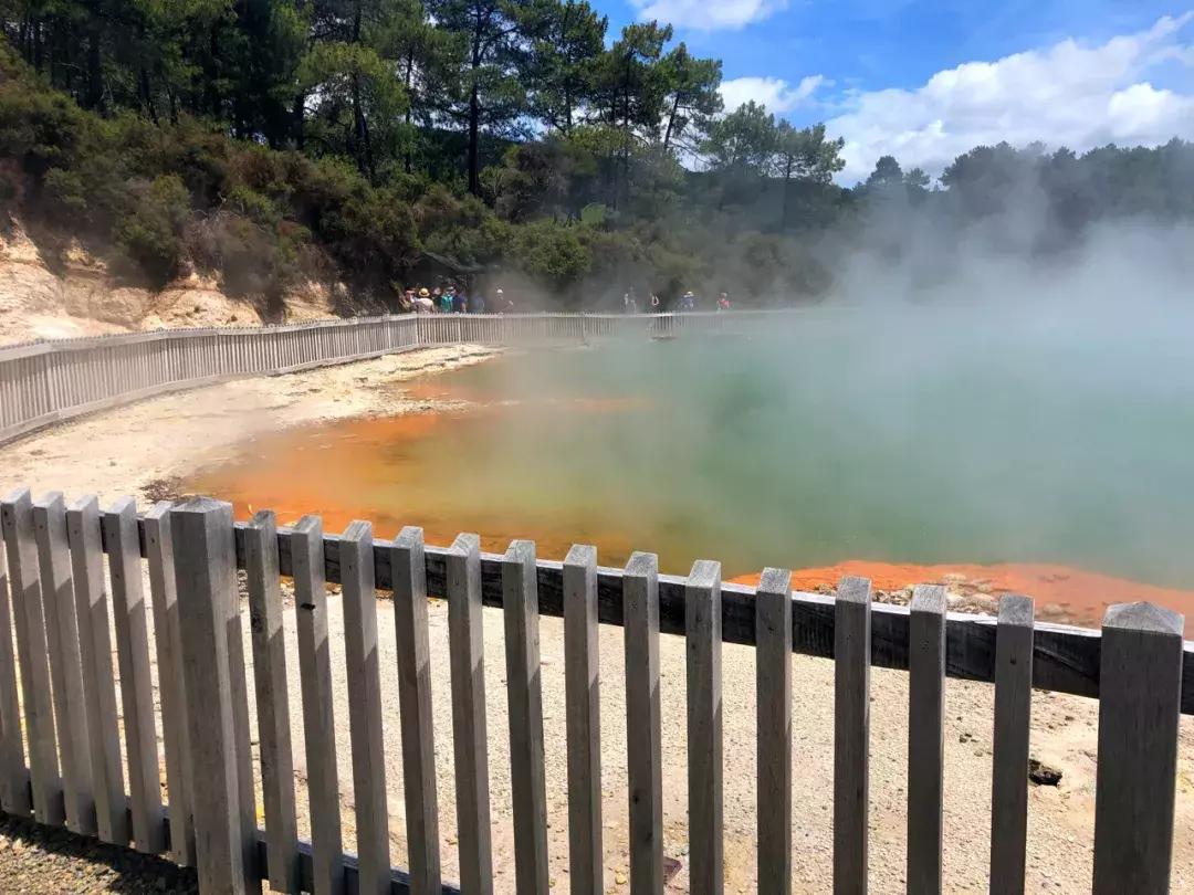 比国内油价还高三四块！这地方奔驰不如日系车受欢迎！