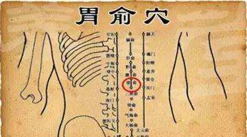 胃下垂十二指肠淤滞,治疗胃十二指肠溃疡的最佳穴位