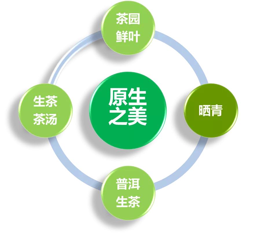 茶知识普及讲解普洱茶,普洱茶的等级之分科普