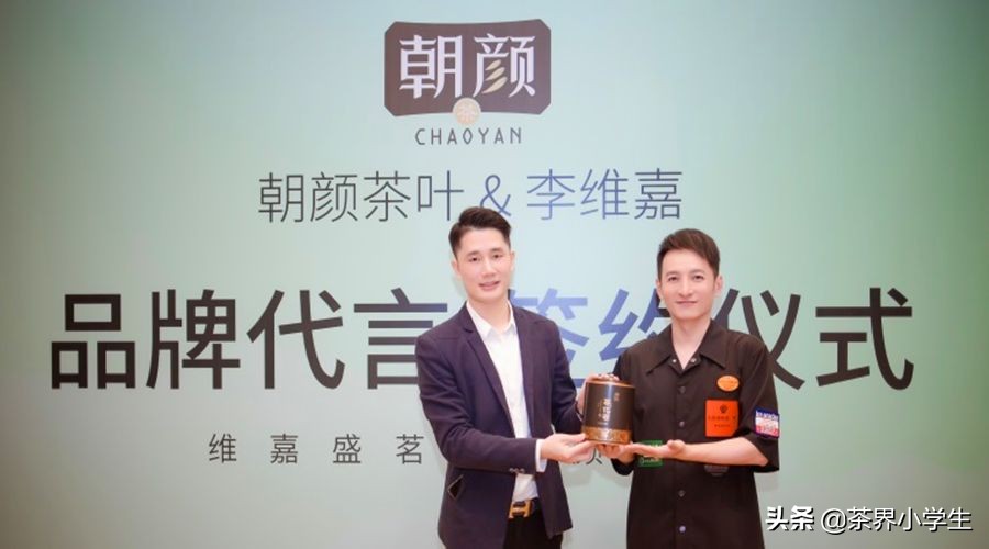 双十一普洱茶排行单品,双11普洱茶成交额排行榜