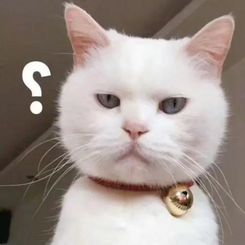 快醒醒!你信了20多年的大姨妈“真理”,全是错的?