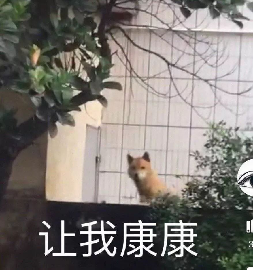 韩国服兵役过程逃兵役后果,韩国逃兵役增肥