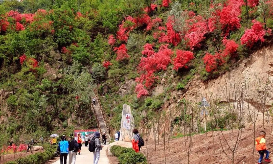 西泰山的特点是什么,西泰山为啥叫西泰山