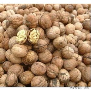 赞皇县特产美食,赞皇县城美食探店