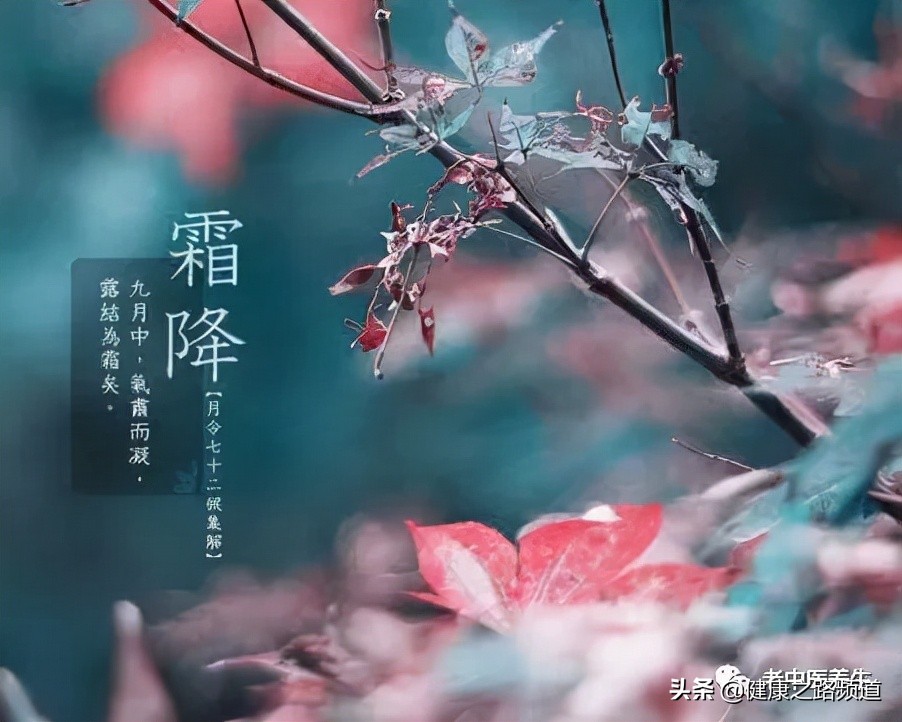 冬补不如补霜降霜降这天该吃些啥,霜降补冬的正确方法