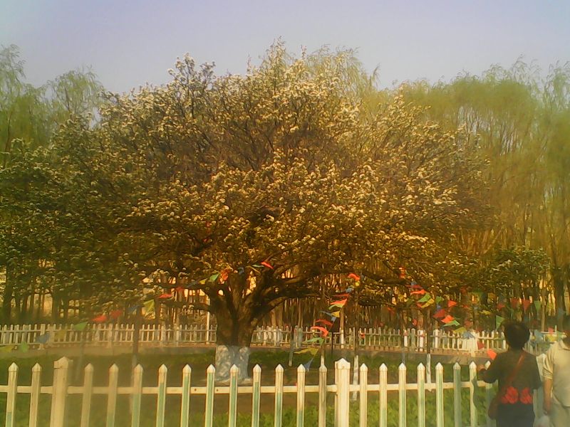 哈尔滨市内环境,哈尔滨一年四季的现状