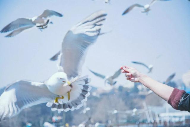 突然就想去旅游了,忽然间就想去厦门了