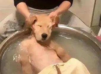 东北第一次搓澡体验,听说北方搓澡