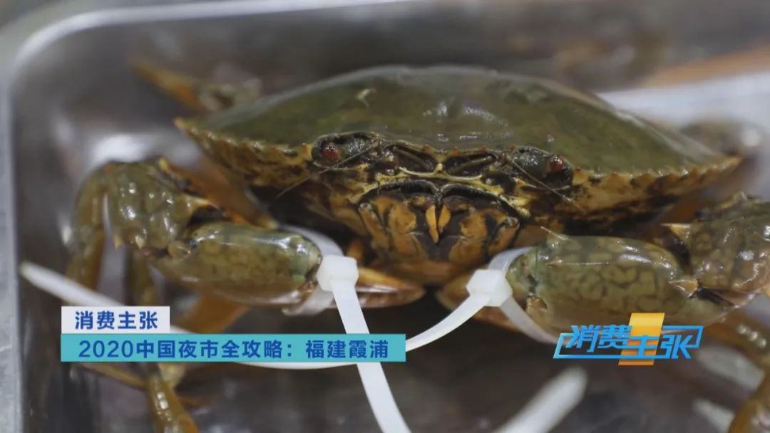 霞浦的海鲜真是便宜又好吃,霞浦真正便宜好吃的海鲜哪里吃