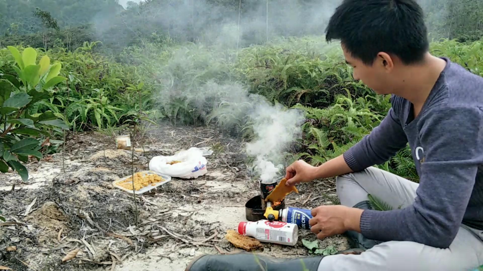 怎么追踪野生蜜蜂视频,怎样野外捕捉蜜蜂