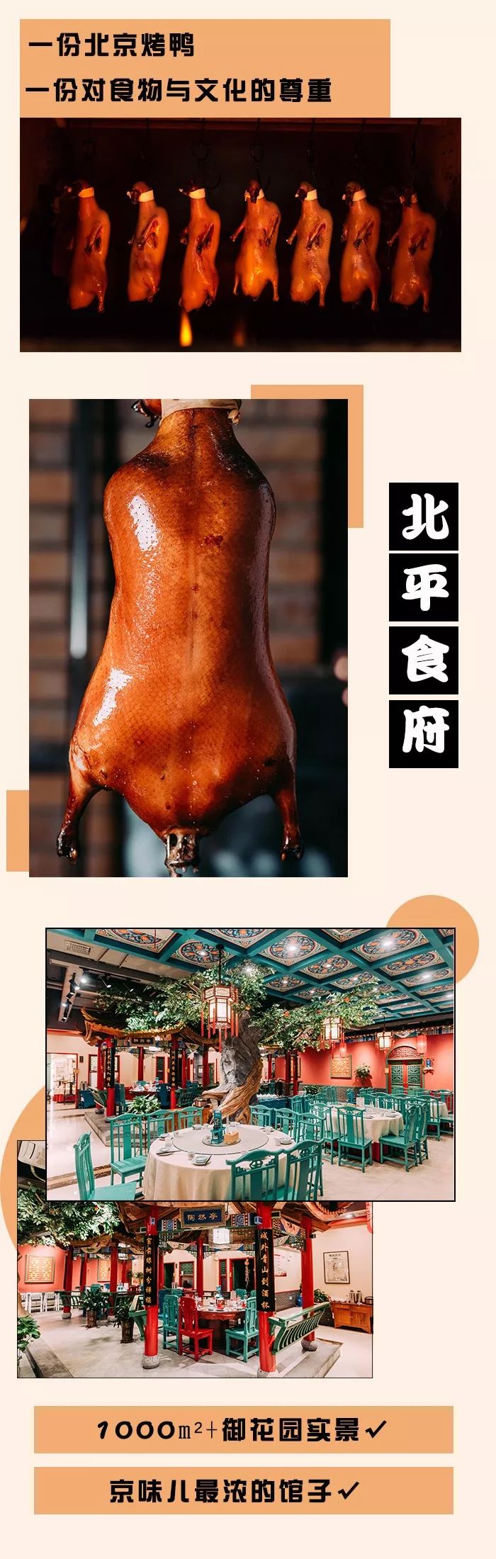 不出北京就能吃到正宗的云南菜,合肥北平食府