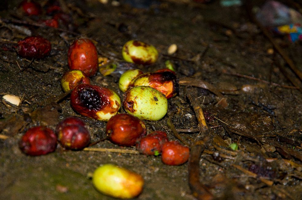 尼康d700拍星空详细教程,尼康d700入门全教程图解