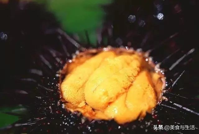 大连海鲜最便宜市场,大连海鲜最便宜的市场