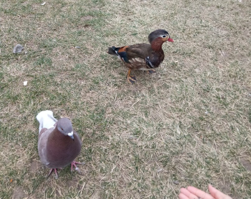 曲江寒窑遗址公园和曲江遗址公园,曲江寒窑遗址公园在地铁几号线