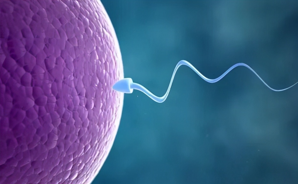 男性身体里那些“装死”的精子