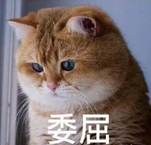 以租代购0首付买车湖州,零首付购车贷套路