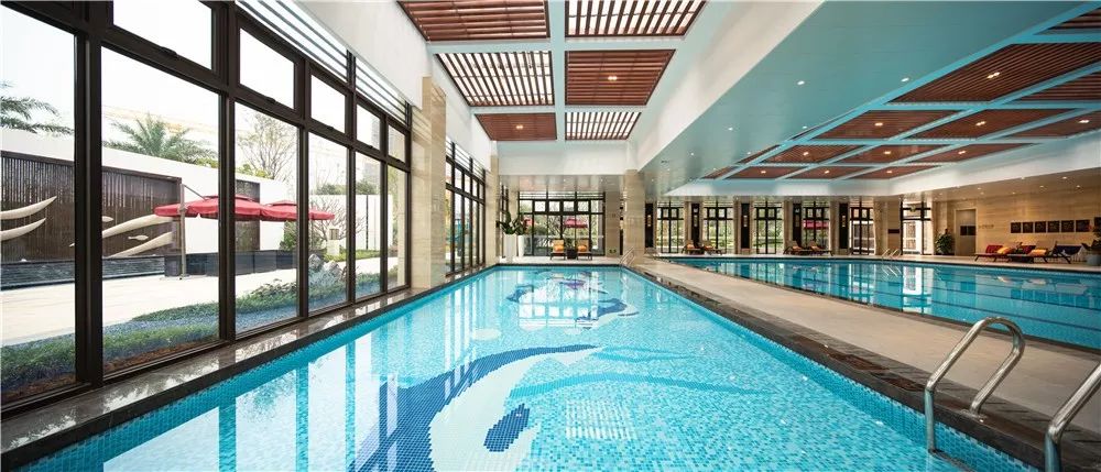 支付宝年账单查询已上线,支付宝年账单来了完整视频