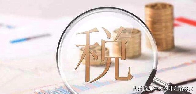 一文看懂个人所得税法,一图读懂加拿大个人所得税