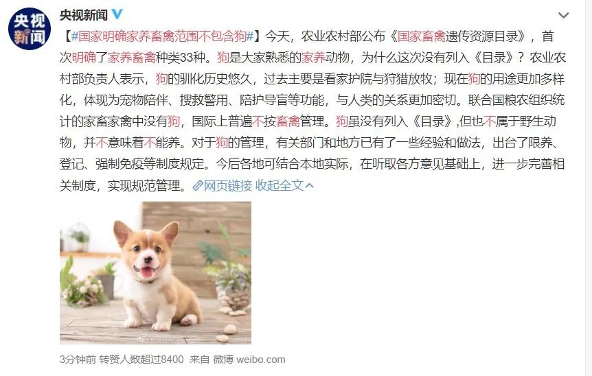 吃鱼子酱海葡萄三文鱼,吃鱼子酱奢侈