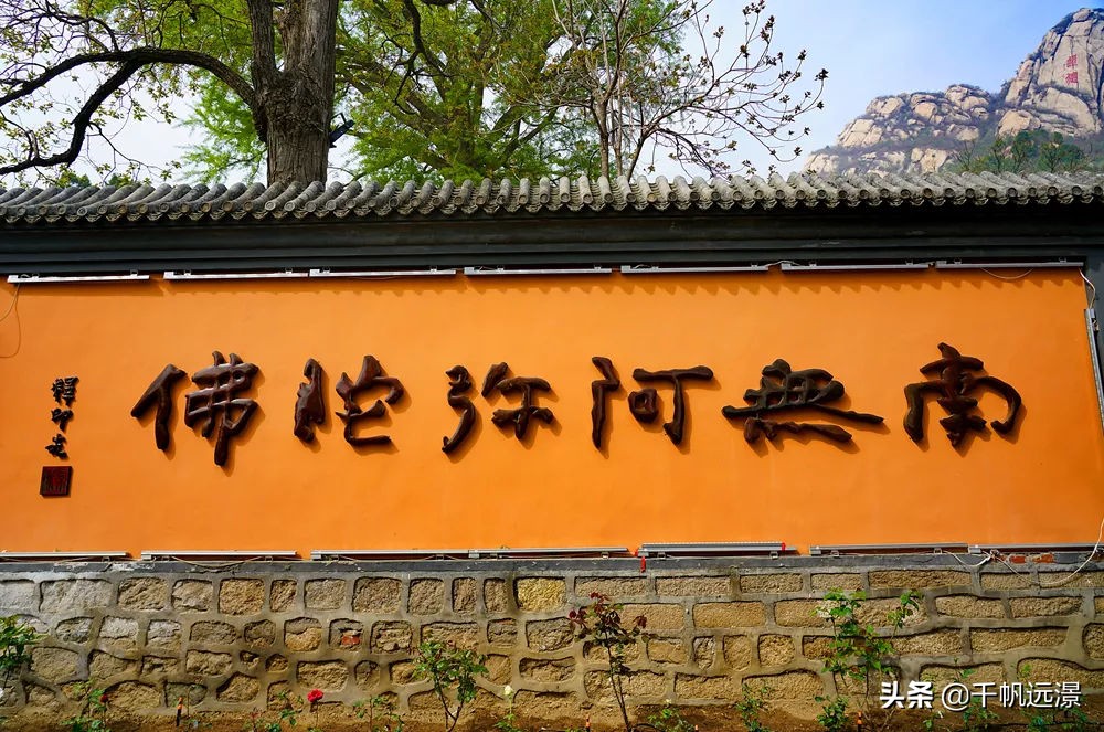 阳春四月草长莺飞春意盎然,阳春四月迎来春