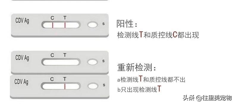 带宠物看病,去宠物医院看病要钱吗