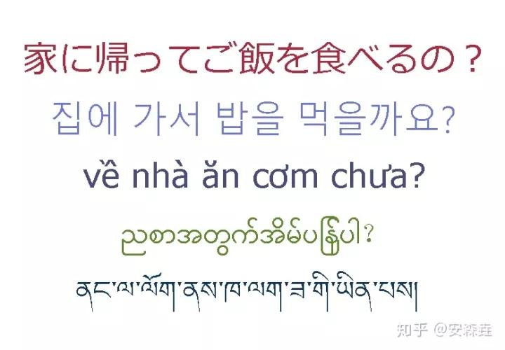 汉语全世界有多少人,汉语族有哪几个