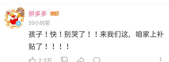 腾讯“企鹅”被骗1600万假辣椒酱，发视频哭惨，是真憨还是假憨？