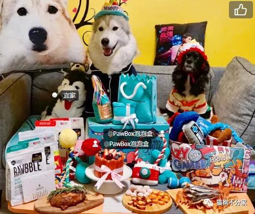 狗狗喜欢吃纸是什么原因，是缺少什么元素吗？