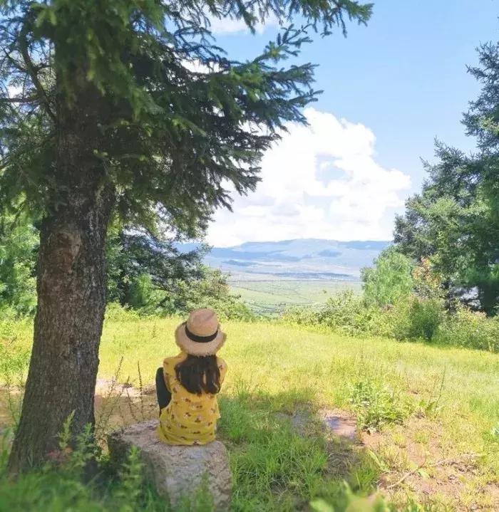 “园艺疗法”治愈抑郁症女孩，与植物对话可舒缓情绪，感知自我