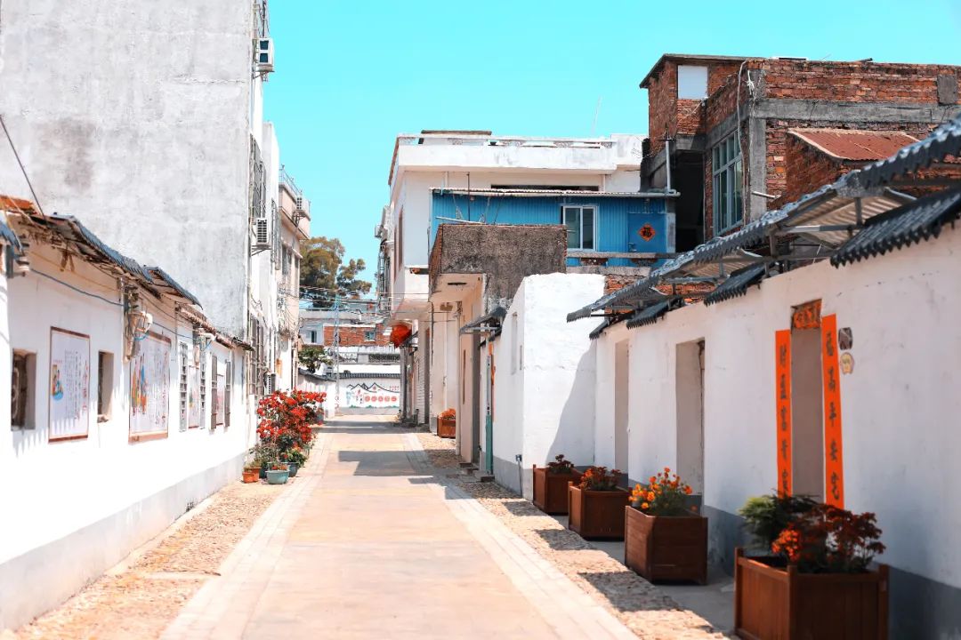 广东适合养老的滨海小镇,广东十个旅居养老圣地