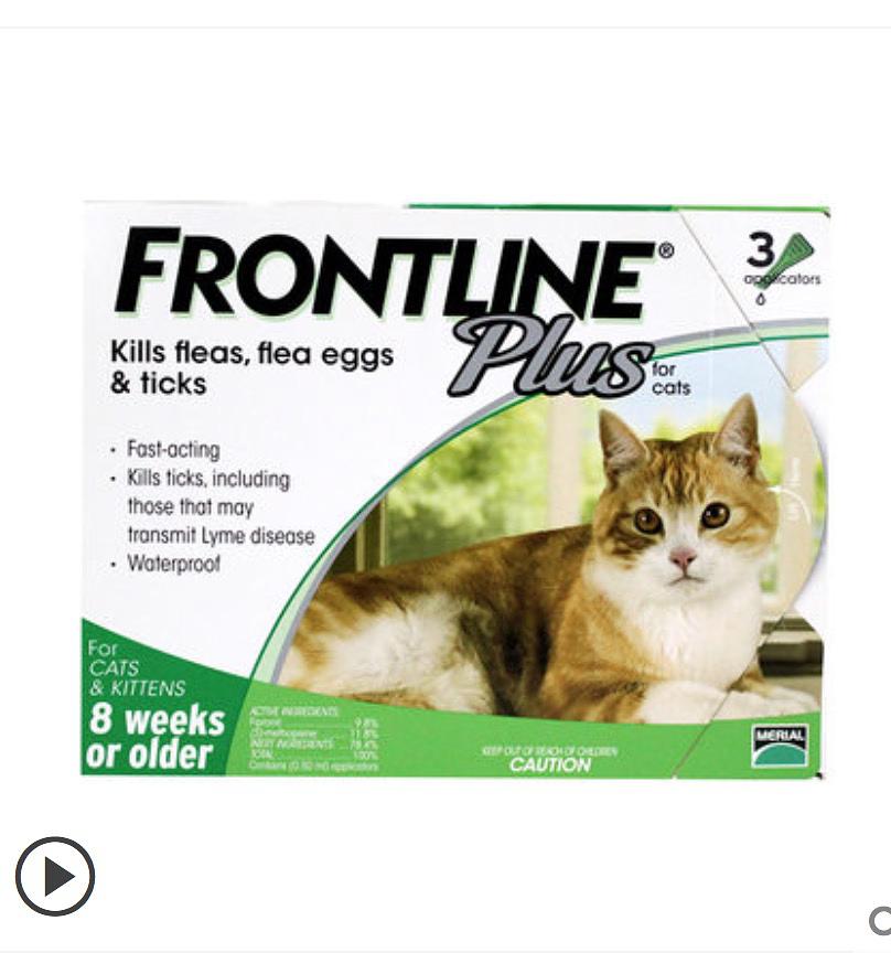 养猫干货方法与技巧,养猫干货视频教程全集