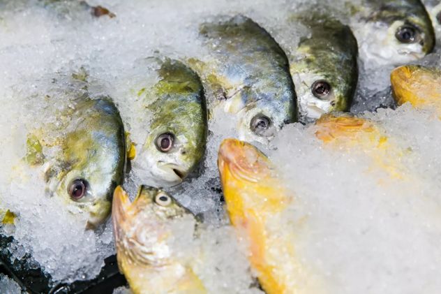 来自浙江宁波的张先生，P仔喊你来领奖品啦！