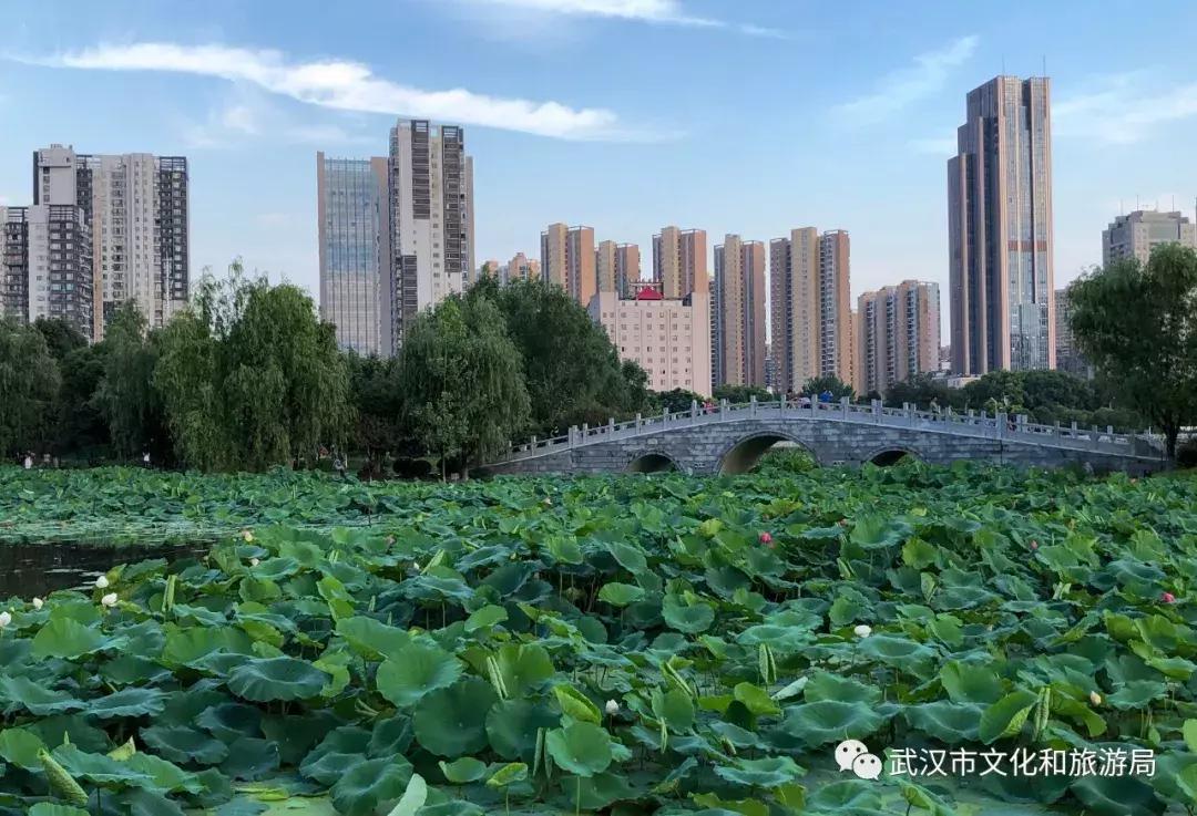 武汉一日游攻略必去十个景点免费,武汉一日游推荐景点介绍