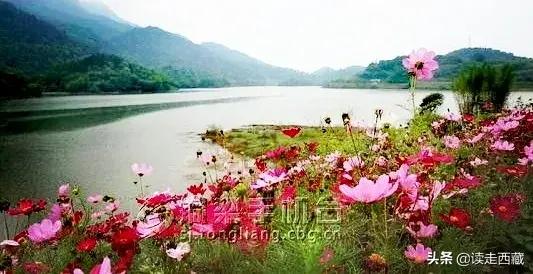 我的当兵之路800字,我的参军路