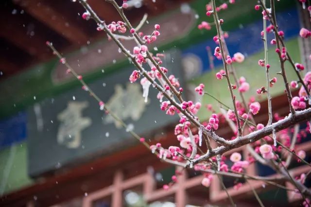 武汉是世界面积最大的一个市,武汉面积最大的小区