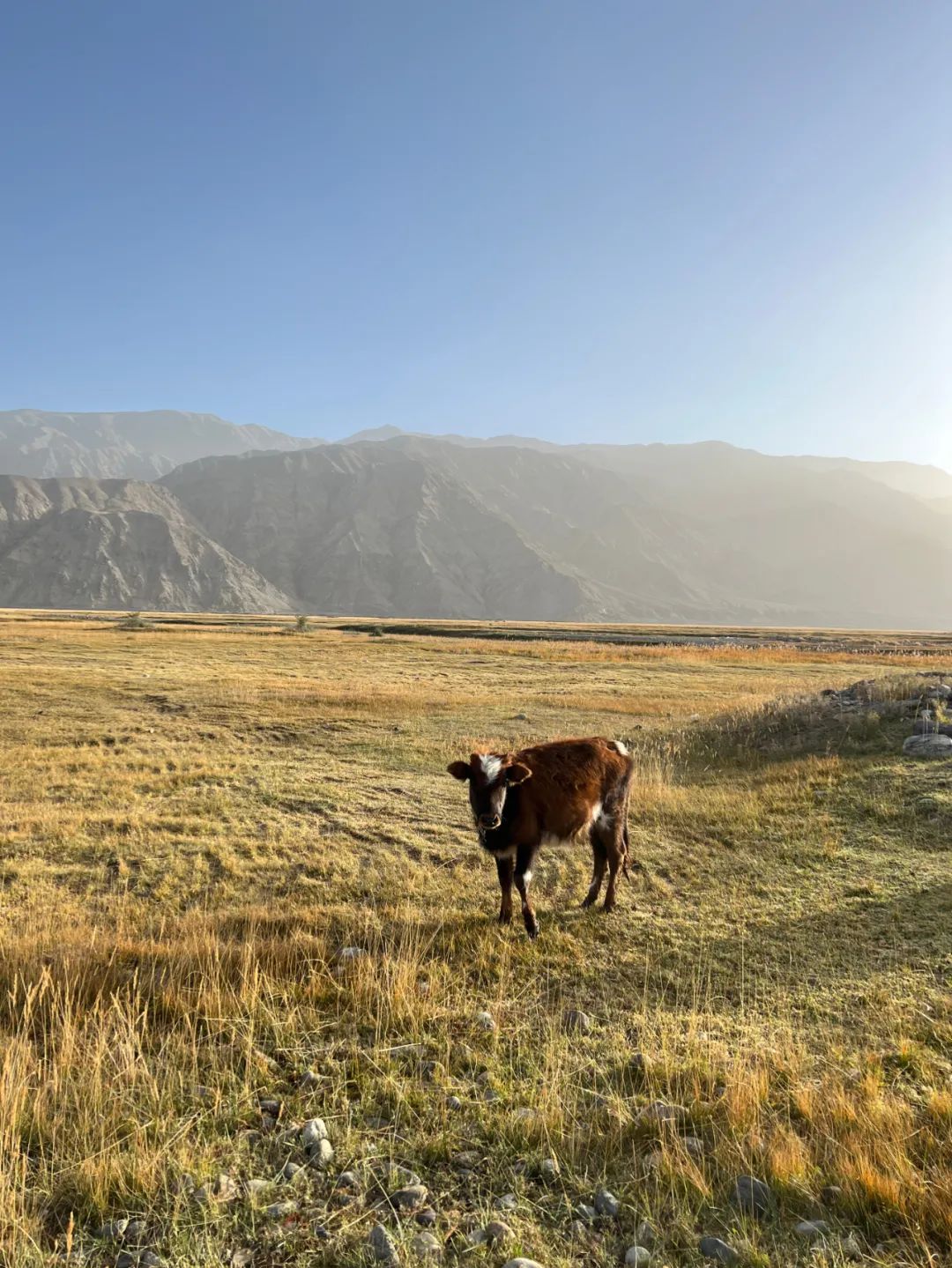 iphone13pro拍照对比vivox70pro,iphone13拍照对比vivox70pro