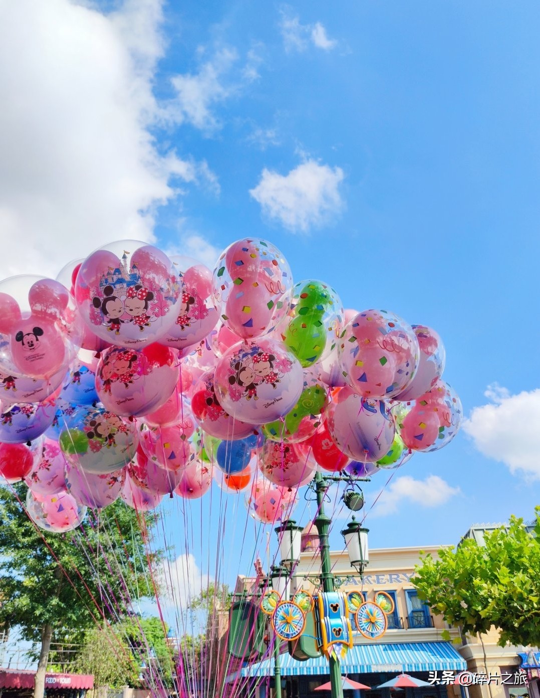 上海攻略经典七日游,上海七天六晚旅游攻略