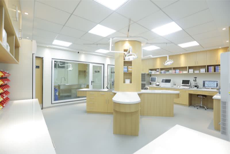 春天宠物高发传染病护理小常识，告别犬瘟，猫瘟和细小病毒