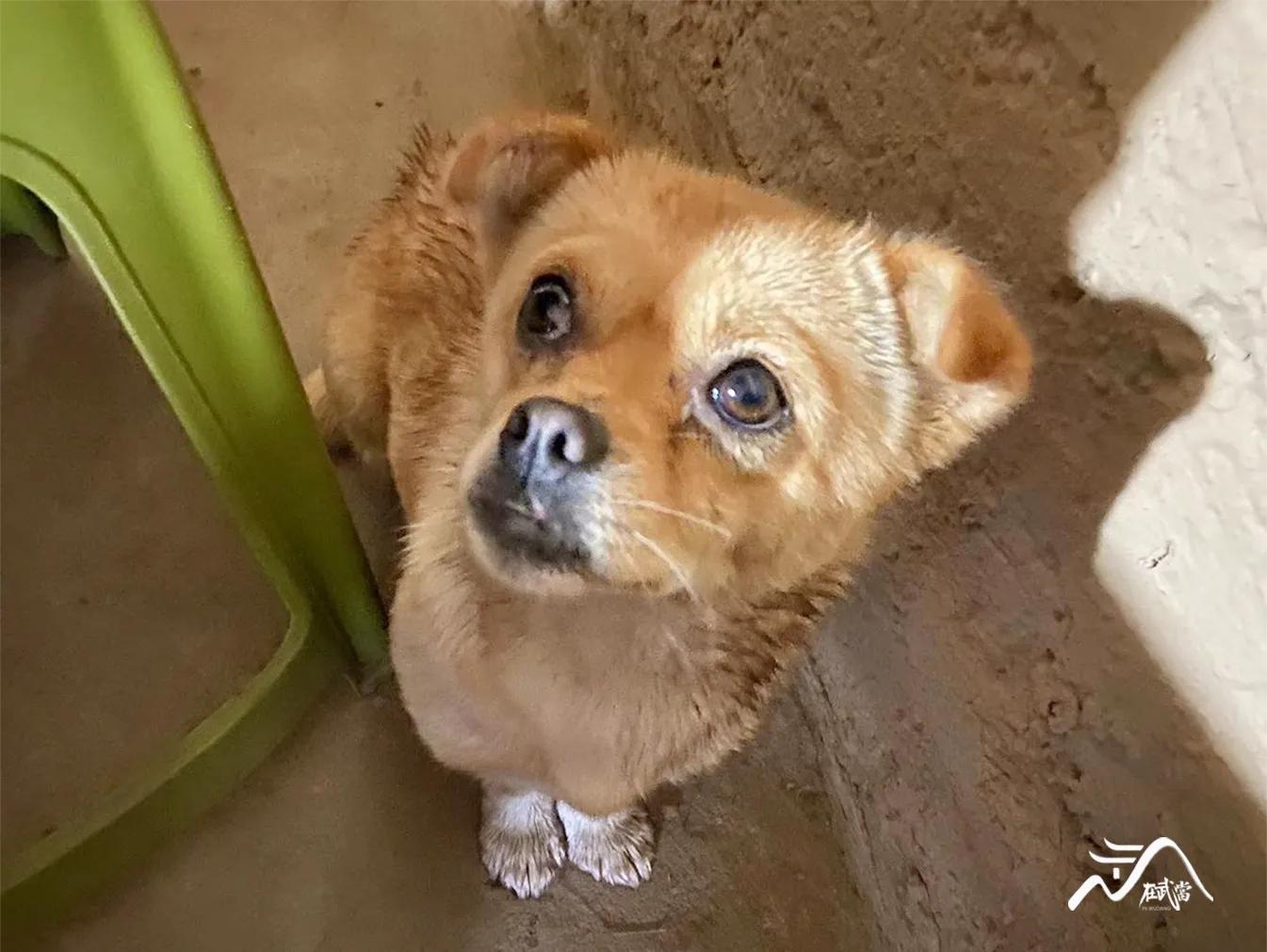 武当来信|老胡:采药酿酒,自在逍遥