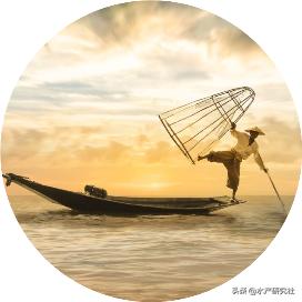 甲鱼养殖如何解毒降亚硝酸盐,甲鱼亚硝酸盐中毒如何处理