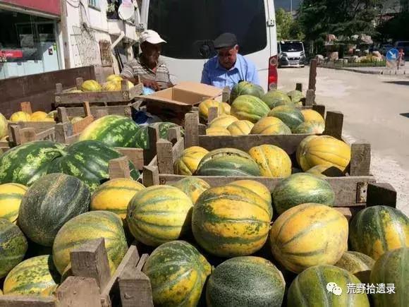 四川适合种植哈密瓜甜瓜品种,甜瓜种植技术新疆哈密瓜