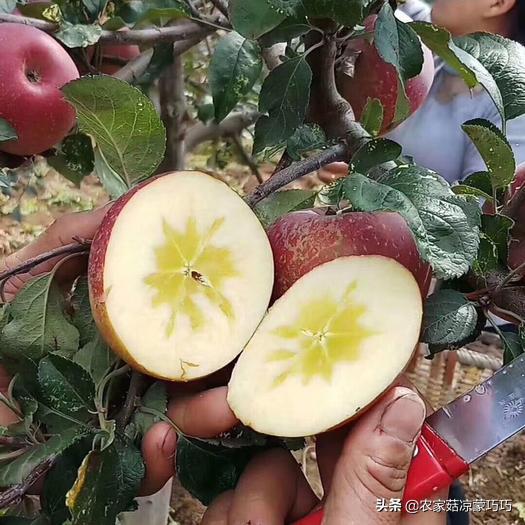 中国有几个昭通,中国有多少个昭通