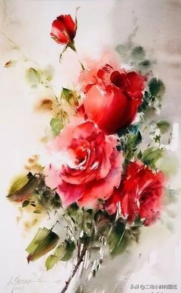 100种花卉绘画,100多张花卉线描手稿素材赶快收藏