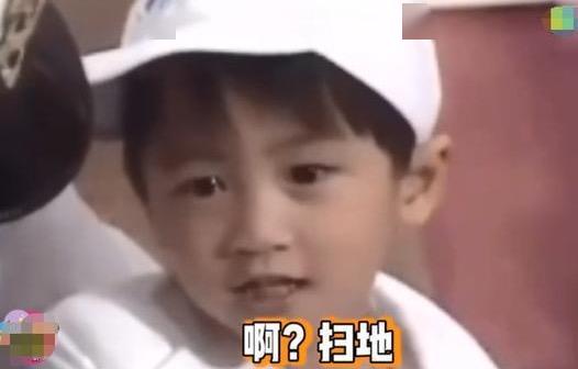 谢霆锋曝光现场视频,谢霆锋儿时花絮视频