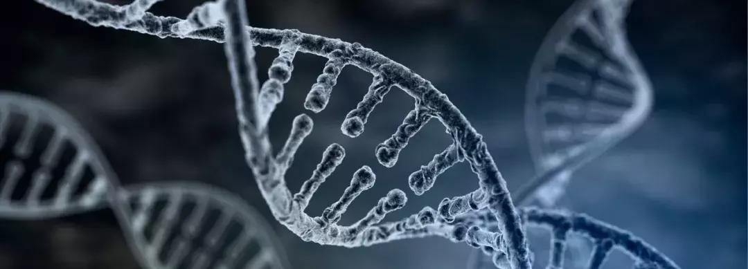 滴滴是亏损还是盈利,滴滴走向穷途末路